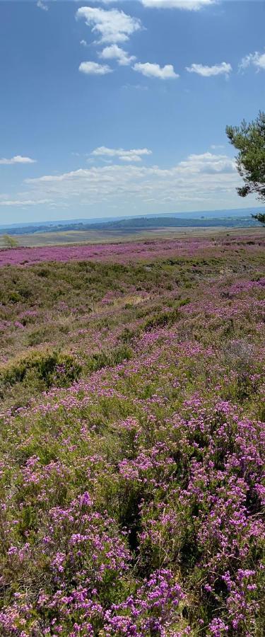 Bed and Breakfast Floyter House North Yorkshire Moors National Park Danby Esterno foto
