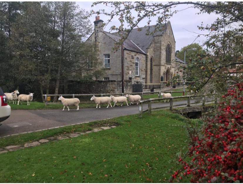 Bed and Breakfast Floyter House North Yorkshire Moors National Park Danby Esterno foto